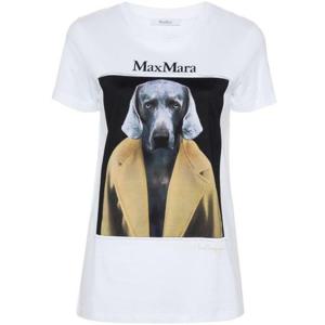 막스마라 CIPRIA 시프리아 코튼 티셔츠 21946071600 014