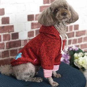 강아지니트옷 패리스독 스타후드 니트 티셔츠 강아지옷 애견의류
