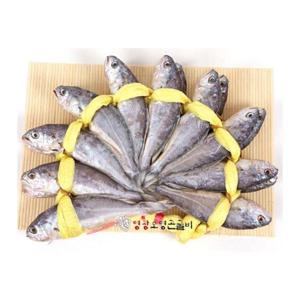 보리굴비 20미 오영곤영광굴비_장대3호(19~20cm)