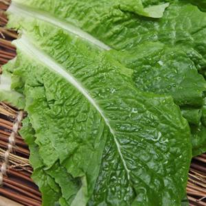 [우리가락]청상추 500g