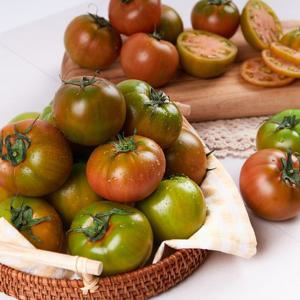 [산지장터]부산대저 권영욱님의 대저토마토 2.5kg(M,개당130-180g)