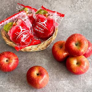 [더조은] 경북 꿀사과 세척사과 정품 2kg 10-13과