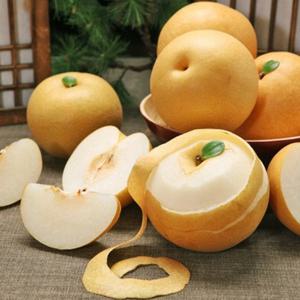 고당도 나주배 신고배 중소과 5.0kg 8-10과 가정용 못난이 흠과