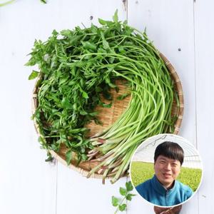 [산지장터]청도 장석형님의 청도미나리 1kg/500gx2팩