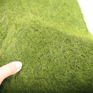 국내산 감태김 생감태 20장