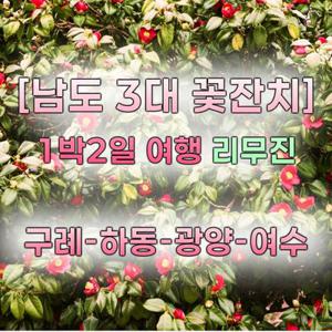 [1박2일] (리무진 버스) 남도 3대 꽃잔치 광양 매화 (하동 벚꽃), 구례 산수유, 여수 동백