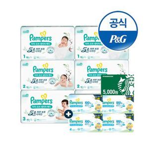 [APP전용] 팸퍼스 터치오브네이처 밴드 팬티 2박스 모음전+스타벅스5천원+추가 증정