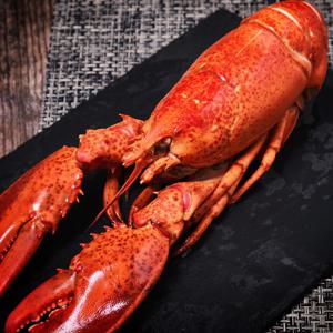 왕왕특대(4XL) 자숙 점보 랍스터(바다가재) 1미 750~1.05kg 캐나다직수입 랍스타