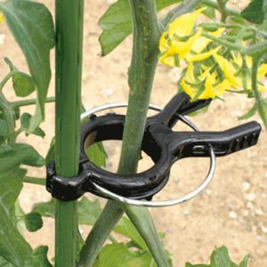 고추집게 오이집게 호박집게 NO1485 (20개 묶음)