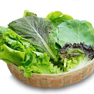 충주씨샵_충주 모둠 쌈채소(1kg)