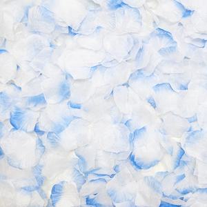 장미꽃잎가루 블루그라데이션 화이트 혼합 1000p 플라워샤워 셀프웨딩 하이숲 CF05