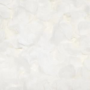 장미꽃잎가루 화이트 1000p 플라워샤워 셀프웨딩 하이숲 CF06