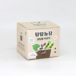 강낭콩 모종 화분 식물 키우기 교육자료 유치원 어린이집 체험 미니텃밭