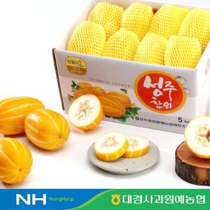 [대경원협] 당도보장 성주 꿀 참외 5kg 실중량 정품 / 가정용