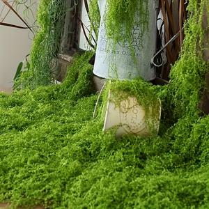 TEMU 확장 및 조절 가능한 인공 이끼 덩굴, 정원, 조경을 향상시키기에 완벽하며 실내 및 실외 환경 모두에 적합