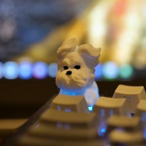 TEMU 3D 프린팅 강아지 모양 키캡, 기계식 키보드 키캡, 창의적인 키캡, 키보드 액세서리, 귀여운 펫 키캡, 크리스마스 선물 키캡