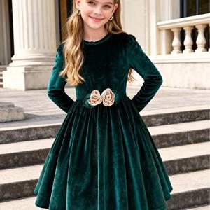 TEMU 여아용 긴팔 캐주얼 봄/가을 원피스 공주 신년 파티 겨울옷