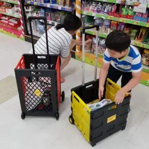박스형 핸드 캐리어 폴더 폴딩 끌차 핸디 카트 특대