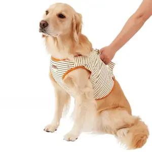 강아지 허리 보호대 스트랩 복대형 노견용 보행 보조