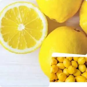 레몬 Y7P6J3H3 5과 과당110g내외