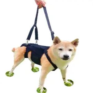 반려동물 보행 노견 하네스 강아지 허리보호대 고정 보조기