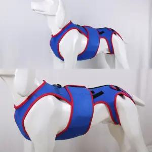 강아지 척추 보호대 보조기 허리 디스크재활 M