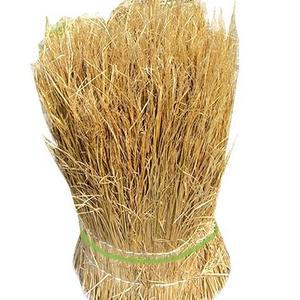 볏짚/청국장 메주용/월동자재/초화류,수목 보온/펫보온 지푸라기/공예 학습용