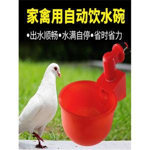 급수통 닭물통 병아리 양동이 가금 물통 물그릇 전기 음수대 그릇 먹이통 5개 15kg 식수 자동 조류