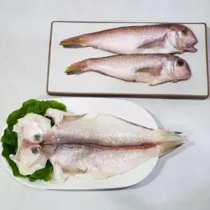 반건조 제주 옥돔 3미