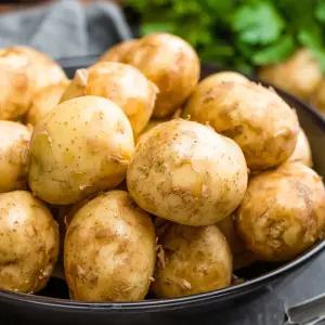 지금 딱 맛좋은 포슬포슬한 제철감자 5kg 왕특 특