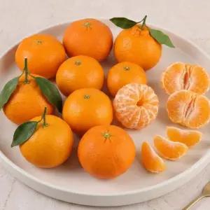 제철 제주 천혜향 1.5kg/2.5kg/4.5kg 가정용 고당도 선별