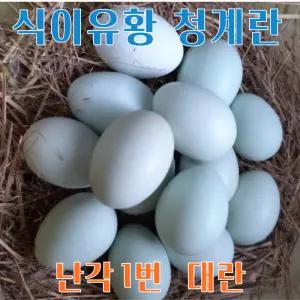 강원고성 자연방사 청계란 (30구) 청란 유정란 청계알 계란 (난각1번)