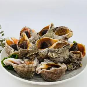 연평 참소라 1kg