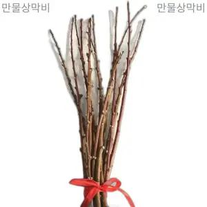 복숭아 나뭇가지 도원 무릉 부정채 제사 신선 잡귀 액운소멸