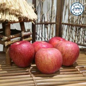 [삼남매네]경북 산지직송 미얀마 세척부사 가정용 사과 5kg [20과내]