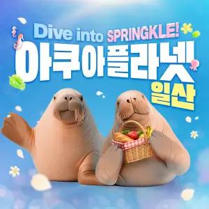[일산] 아쿠아플라넷 다흑기획전 입장권(4/1~4/30)