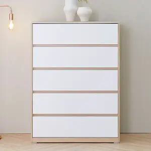 모이 메가 칸칸이 속깊은 와이드 5단 서랍장 900