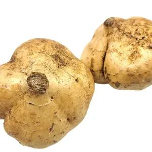 멕시코감자 히카마 2.5KG 히카마 얌빈 멕시코감자 생히카마 베트남산히카마