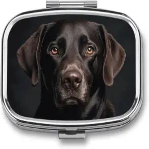 블랙 랩 개 여행용 알약 정리함 휴대 및 보관에 편리한 보충제용 일일 상자 2칸 케이스