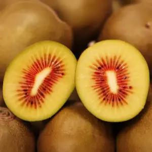 제스프리 고당도 레드키위 루비레드 20과 특대