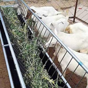 염소사료통 축사 염소 사료통 여물통 가축 농장