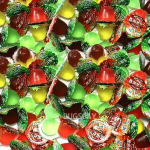 파워 곤충젤리 100개 / 곤충먹이 장수풍뎅이 사슴벌레