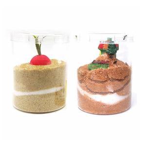 개미키우기 세트-공주개미+알또는애벌레+개미+개미집/곤충 한살이/어린이선물/어린이집/유치원/