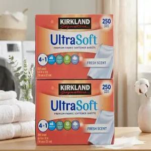 커클랜드 드라이시트 섬유유연제 250매 2팩