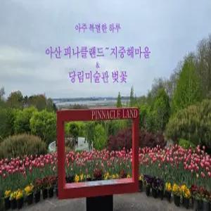 [무궁화] 아주 특별한 하루~ 피나클랜드&지중해마을&당림미술관 벚꽃 기차여행(당일)