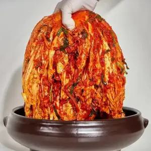 [플래노프]서울 중부식 프리미엄 포기김치(예약주문) / 국내산 고랭지 배추 금치 호텔김치