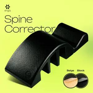 [에르고] EPP 스파인코렉터