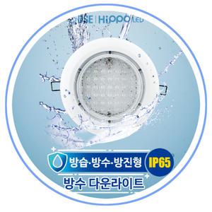 국산 히포 방수등 LED 매입등 8인치 30w IP65 방습 방진 욕실등 목욕탕 사우나 다운라이트
