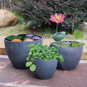 연꽃 수련 화분 연못 화단 플라스틱 수생식물 원형