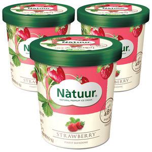 [슈팅냉동] 롯데웰푸드 나뚜루 스트로베리 파인트, 474ml, 3개